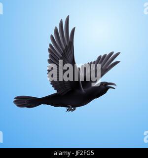 blau, Bewegung, Verschiebung, Bewegung, Bewegung, ledig, Modell, Entwurf, Projekt, Stock Vektor