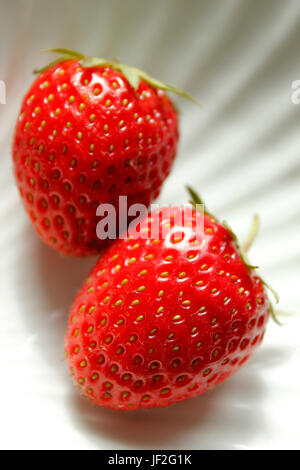 Zwei saftige nahm frisch englische Erdbeeren Stockfoto