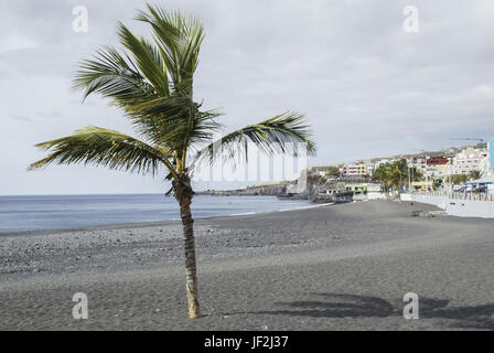 Puerto Naos, Kanarische Inseln, La Palma, Spanien Stockfoto