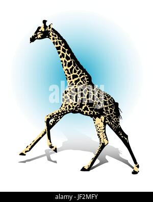 Tier, Afrika, Savanne, Galopp, Safari, Giraffe, Fleck, Flecken, Hals, blau, Stock Vektor