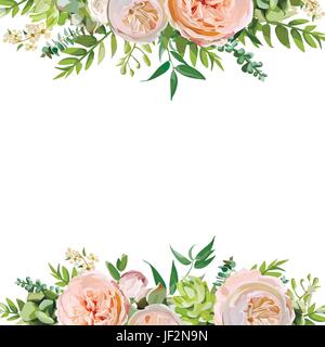 Vektor-floralen Design quadratische Kartendesign. Weiche rosa Pfirsich englischen Garten, Rosenblätter Eukalyptus grüner Farn Mix. Gruß zarte Hochzeitseinladung Stock Vektor