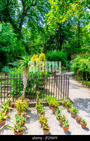 Botanischer Garten in Padua, Italien Stockfoto