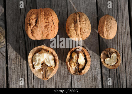 Juglans regia Walnuss, große und kleine Muttern Stockfoto