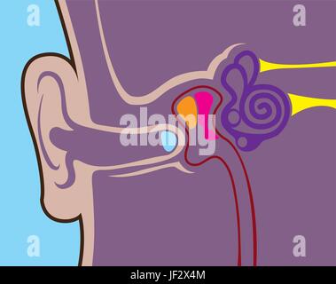 Balance Ohr Stock Vektor