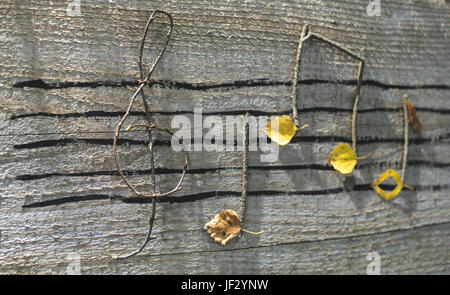 Noten Konzeption Stockfoto