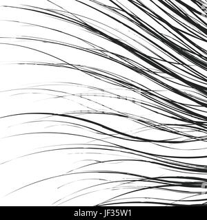 Element, Muster mit gewellten, verzerrte Linien. Abstrakte geometrische Abbildung in schwarz / weiß Stock Vektor