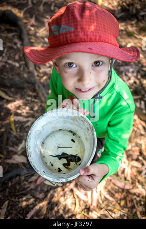 Ein kleiner Junge sieht hoch und zeigt eine große Kaulquappe oder Pollywog, die er beim Froschen in einem Eimer gefangen hat. Die Kaulquappe hat Froschschenkel und immer noch einen Schwanz. Stockfoto