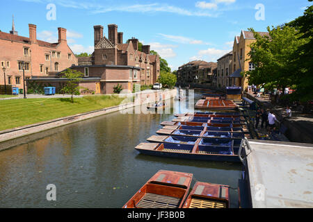 Bootfahren auf dem Fluss Cam in Cambridge, Cambridgeshire, England Stockfoto