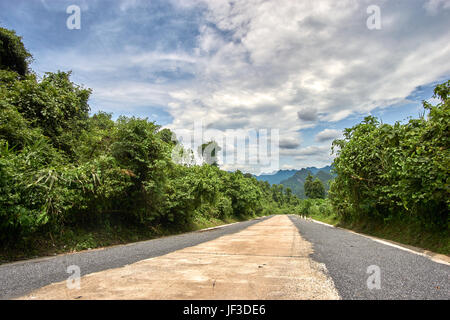 Straße in die Paradies-Höhle durch den Dschungel im Phong Nha-Nationalpark in Vietnam. Ohne Menschen. Stockfoto