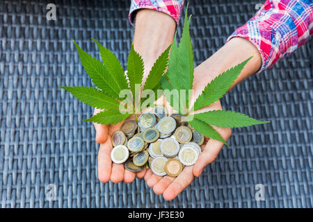 Hände, die Euro-münzen und Hanf Blätter Stockfoto