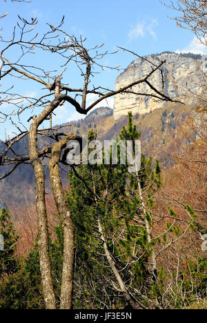 Italien. Venezianischen Voralpen, Altopiano dei Sette Comuni. Der Altar Knotto, prähistorische Opferaltar der Kimbern Menschen. Stockfoto