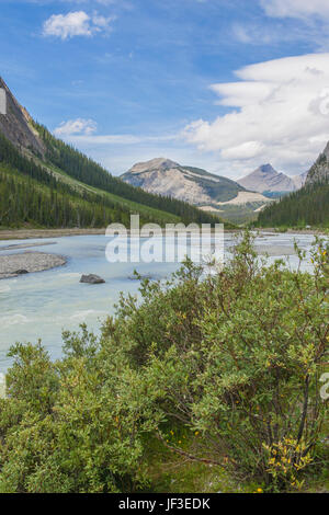 Der Athabasca River hat seinen Ursprung in der Columbia Icefields und fließt dann nördlich durch den Jasper National Park, dann nordöstlich zum Athabasca See. Stockfoto