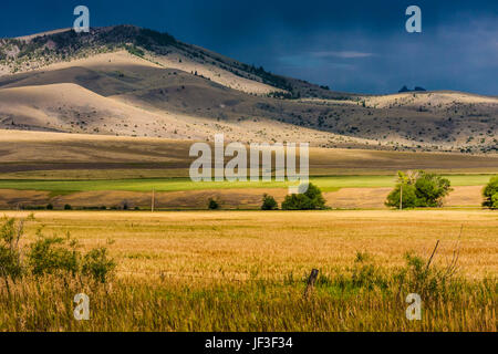 Light Before a Storm auf Farmen im Südwesten von Montana mit der Gallatin-Bergkette und dem Nationalwald in der Ferne. Getreide- und Heuwirtschaft . Stockfoto