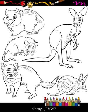 Tier, Illustration, Känguru, Cartoon, Bildung, Comic, Grafik, Tier, Stock Vektor