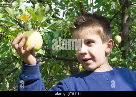 Kind vom Apple Stockfoto