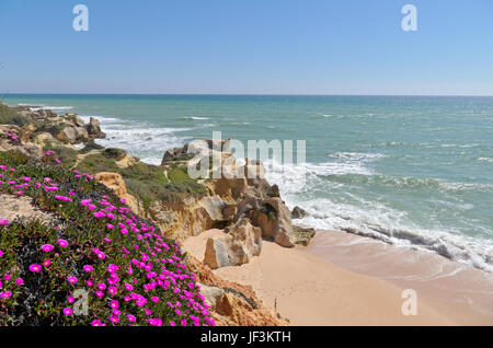 Szene erfasst in Chiringuitos Strand (auch genannt Gale Strand), Albufeira. Algarve, Portugal Stockfoto