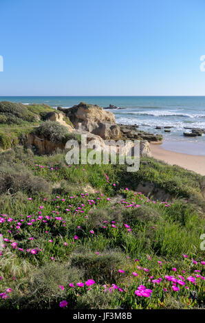 Szene erfasst in Chiringuitos Strand (auch genannt Gale Strand), Albufeira. Algarve, Portugal Stockfoto