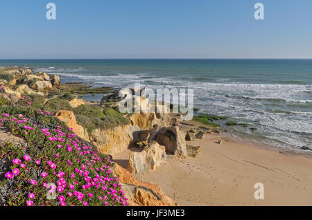 Szene in Chiringuitos am Strand erfasst (auch als Gale Strand), Albufeira, Algarve, Portugal. Stockfoto