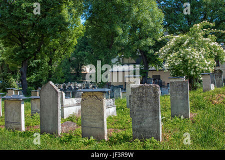 Jüdischer Friedhof in Kazimierz Stockfoto