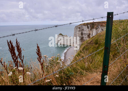 Falaise d'Amont Etretat Stadt Normandie Frankreich Europa Stockfoto