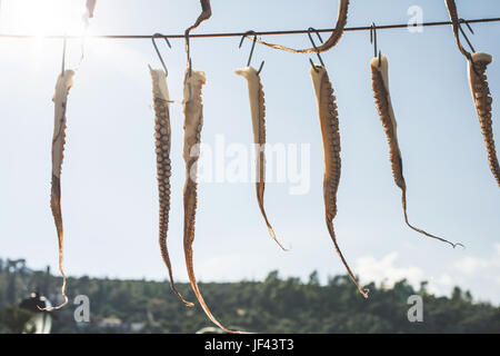Octopus auf Seil Stockfoto