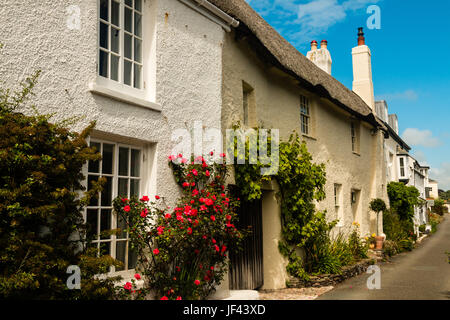 Reihe von ziemlich Pralinenschachtel Cottages im Dorf Noss Mayo, Newton Ferrers, am Ufer der Mündung des Yealm, South Devon, England Stockfoto