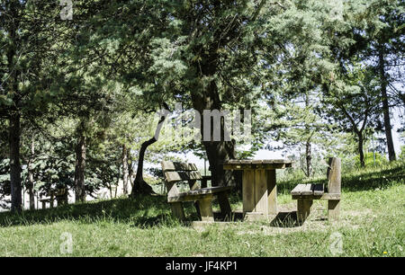 Holzbänke und ein Tisch im Wald Stockfoto