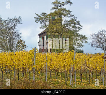 Hochwart Insel Reichenau am Bodensee Stockfoto