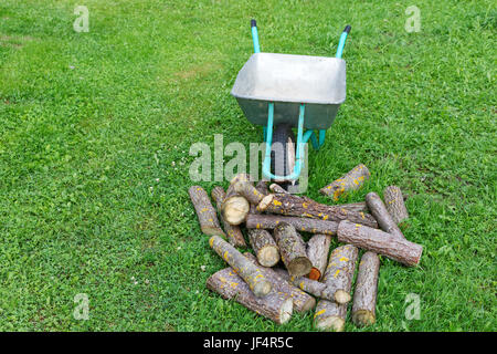 Sackkarre mit Brennholz auf dem grünen Rasen Stockfoto