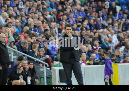 Windsor Park, Belfast, Nordirland. 28. Juni 2017. Linfield (blau) 1 La Fiorita (gelb) 0.  Linfield Manager David Healy Taktik nachdenken. Kredit David Hunter/Alamy Live-Nachrichten. Stockfoto