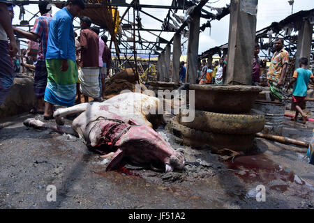 Dhaka, Bangladesch. 29. Juni 2017.  Tote Tiere lag am Boden des Gabtoli Vieh, zerstört durch einen Brand in Dhaka, Bangladesch, 29. Juni 2017 zu vermarkten. Rund 13 wurden Kühe und 26 Ziegen getötet, als der Markt um 10:00 Donnerstag gefangen Feuer. Bildnachweis: SK Hasan Ali/Alamy Live-Nachrichten Stockfoto