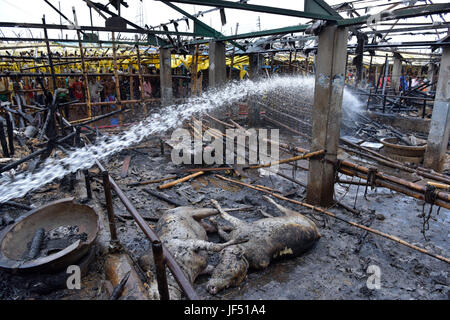 Dhaka, Bangladesch. 29. Juni 2017.  Bangladeshi Feuerwehrleute versuchen, das Feuer zu löschen, während ein Brandes mehrere Schuppen an Gabtoli Viehmarkt in Dhaka, Bangladesch, 29. Juni 2017 entkernt. Rund 13 wurden Kühe und 26 Ziegen getötet, als der Markt um 10:00 Donnerstag gefangen Feuer. Bildnachweis: SK Hasan Ali/Alamy Live-Nachrichten Stockfoto