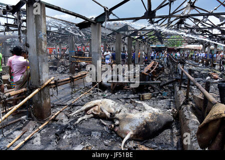 Dhaka, Bangladesch. 29. Juni 2017.  Tote Tiere lag am Boden des Gabtoli Vieh, zerstört durch einen Brand in Dhaka, Bangladesch, 29. Juni 2017 zu vermarkten. Rund 13 wurden Kühe und 26 Ziegen getötet, als der Markt um 10:00 Donnerstag gefangen Feuer. Bildnachweis: SK Hasan Ali/Alamy Live-Nachrichten Stockfoto