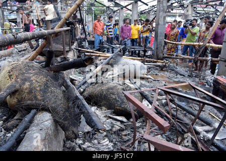 Dhaka, Bangladesch. 29. Juni 2017.  Tote Tiere lag am Boden des Gabtoli Vieh, zerstört durch einen Brand in Dhaka, Bangladesch, 29. Juni 2017 zu vermarkten. Rund 13 wurden Kühe und 26 Ziegen getötet, als der Markt um 10:00 Donnerstag gefangen Feuer. Bildnachweis: SK Hasan Ali/Alamy Live-Nachrichten Stockfoto