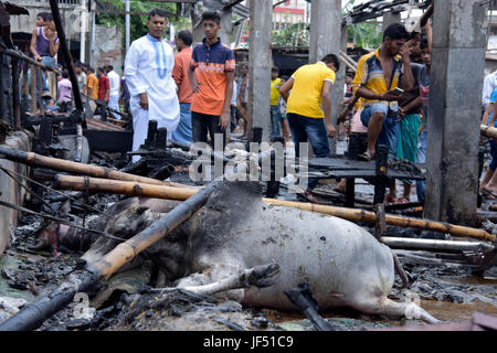 Dhaka, Bangladesch. 29. Juni 2017.  Tote Tiere lag am Boden des Gabtoli Vieh, zerstört durch einen Brand in Dhaka, Bangladesch, 29. Juni 2017 zu vermarkten. Rund 13 wurden Kühe und 26 Ziegen getötet, als der Markt um 10:00 Donnerstag gefangen Feuer. Bildnachweis: SK Hasan Ali/Alamy Live-Nachrichten Stockfoto