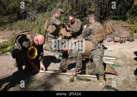 COLD LAKE, AB, Kanada – Marines mit Ingenieur-Unternehmen, Detachment Bravo, Marine Wing Support Squadron 473, 4. Marine Aircraft Wing, Marine Forces Reserve messen Zündschnur um ein Feld sinnvoll Bangalore Torpedo, 28. Mai 2017 zu erstellen. Marines ausgebildet in Hindernis verletzt, clearing ein Verhacke durch Mitglieder der kanadischen Streitkräfte im Rahmen der Übung Maple Flag 50 Kisten verpackt. Stockfoto