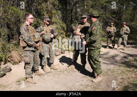 Warrant Officer Regenald McDonald, Royal Canadian Air Force Bauingenieur mit 4 Construction Engineering Squadron, spricht über technische Hindernisse, 28. Mai 2017 Marines mit Ingenieur-Unternehmen, Detachment Bravo, Marine Wing Support Squadron 473, 4. Marine Aircraft Wing, Marine Forces Reserve. Marines gelöscht eine Verhacke erstellt von Mitgliedern der kanadischen Streitkräfte im Rahmen der Übung Maple Flag 50. Stockfoto