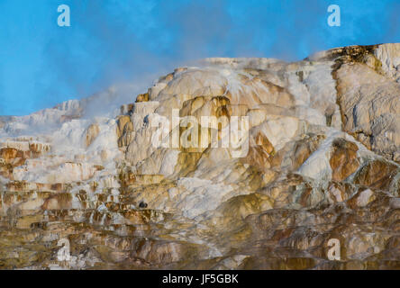 Mammoth Hot Springs, Yellowstone-Nationalpark, Wyoming USA von Bruce Montagne / Dembinsky Foto Associates Stockfoto