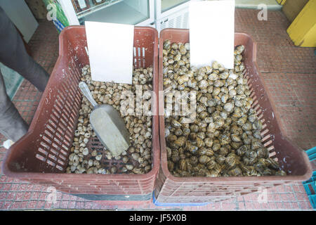 Schnecken in einer Kiste auf dem Markt Stockfoto