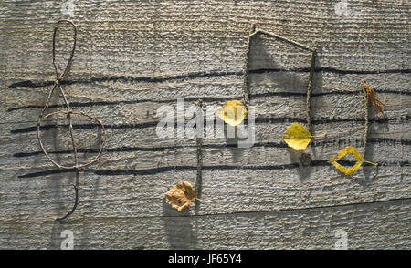 Noten Konzeption Stockfoto