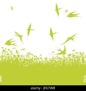 Frühling, Schwalbe, Singender Vogel, Bobolinks, Schwalben, niedrige Horizontalflug, Stock Vektor