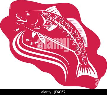 Fisch, Illustration, Bass, Basso, Fisch, Illustration, Retro, Bass, Basso, rot Stock Vektor