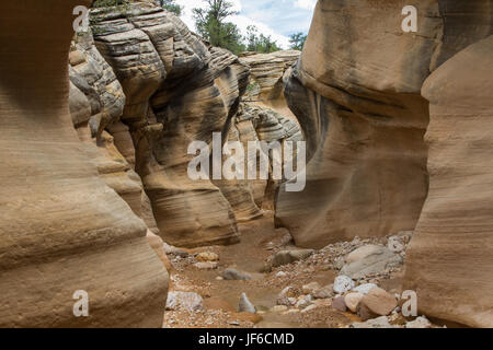 Willis Creek Slot Canyon Stockfoto