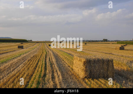 Hay in der Nähe Raibach, Deutschland Stockfoto