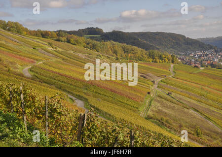 Weinberge in Ingelfingen, Deutschland Stockfoto