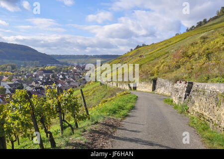 Weinberge in Ingelfingen, Deutschland Stockfoto