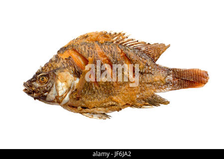 Thai gebratene Fisch gebraten isolierten auf weißen Hintergrund. Stockfoto