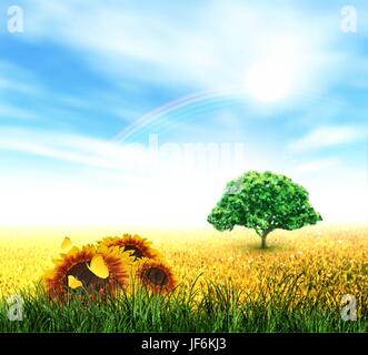 Feld, Sommer, Blume sommerlich, Sonnenblume, Pflanze, Regenbogen, Landschaft, Landschaft, Stock Vektor