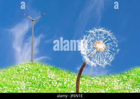 Löwenzahn auf der Wiese und wind turbine Stockfoto