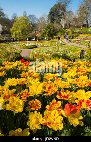 Blütenpracht im Garten Dingle am The Quarry, Shrewsbury, Shropshire, England, UK Stockfoto